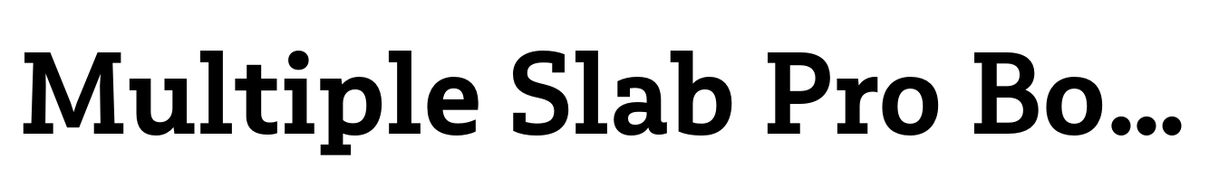 Multiple Slab Pro Bold